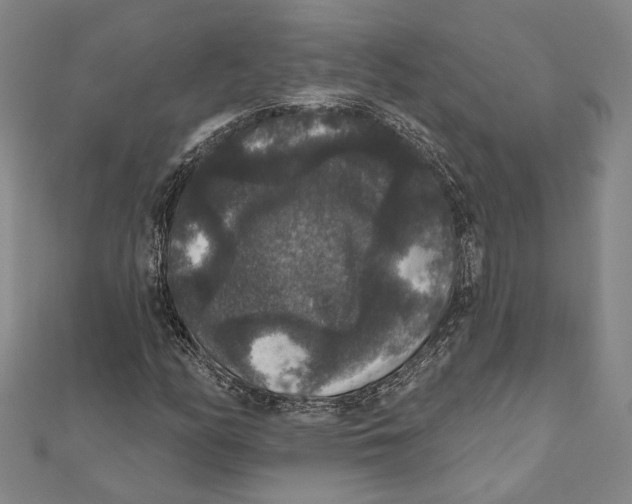 X0000111161158200907281147