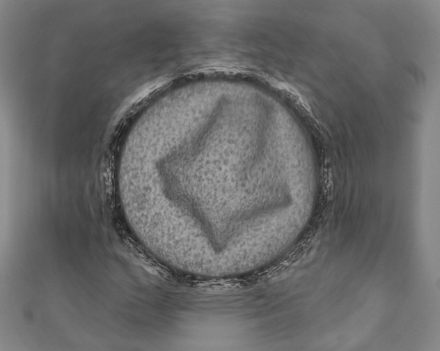 X0000111161159200907281147