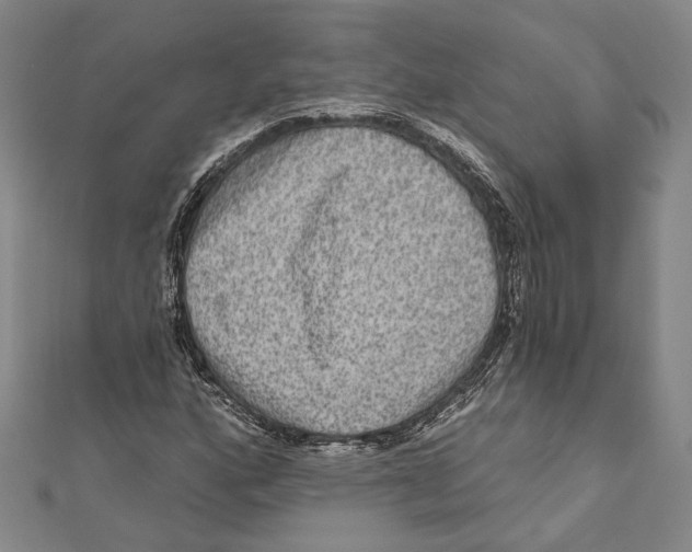 X0000111161160200907281147