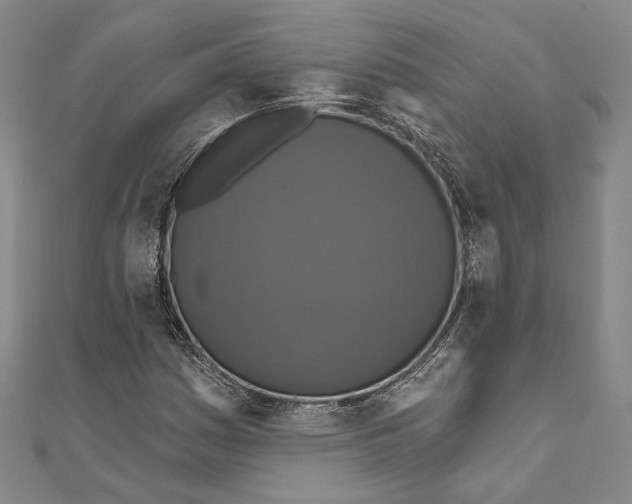 X0000111161161200907281147