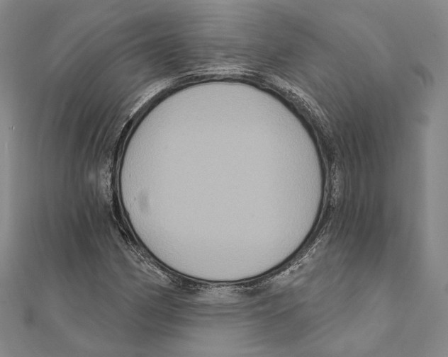 X0000111161162200907281147