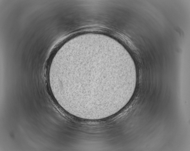 X0000111161164200907281147