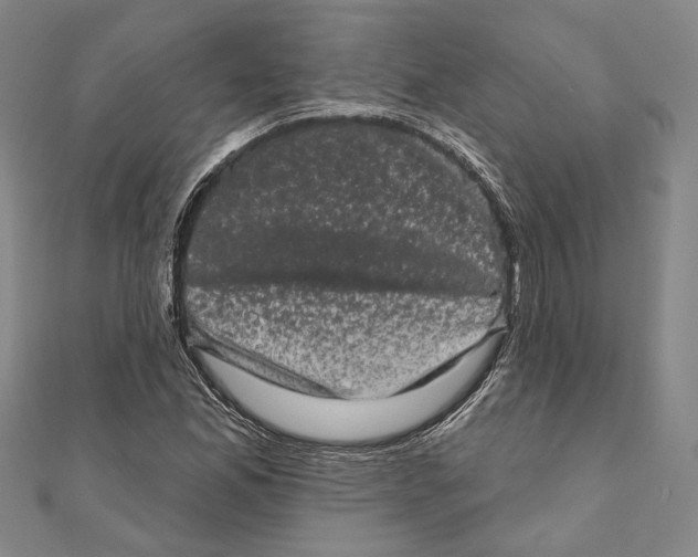 X0000111161165200907281147