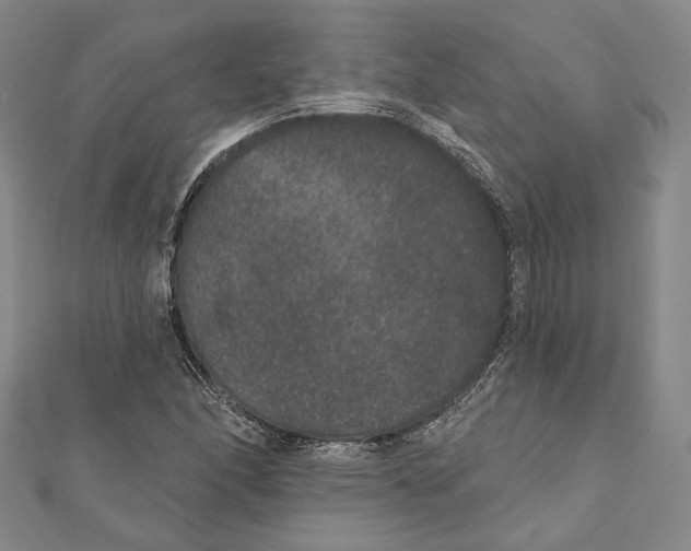 X0000111161166200907281147