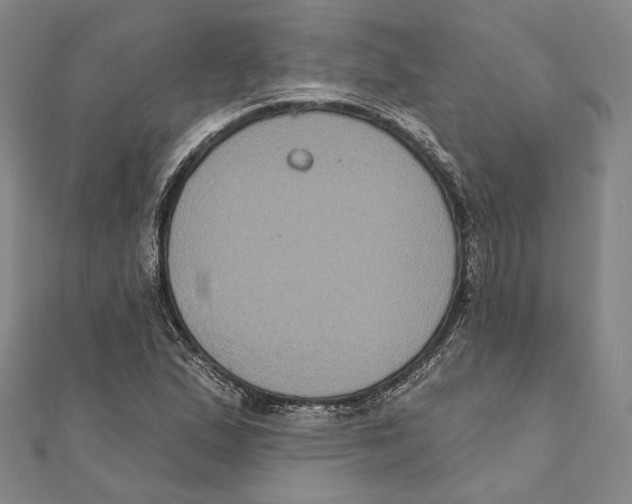 X0000111161167200907281147