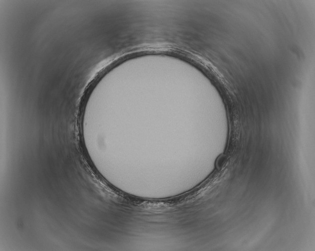 X0000111161168200907281147