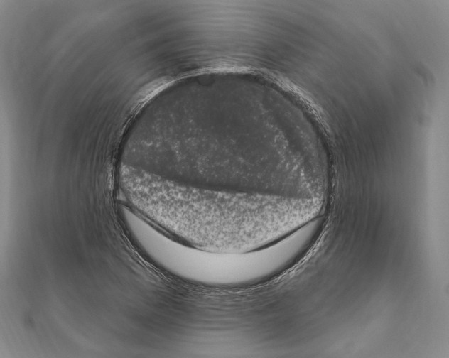 X0000111161169200907281147