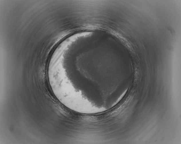 X0000111161170200907281147