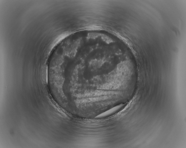 X0000111161171200907281147