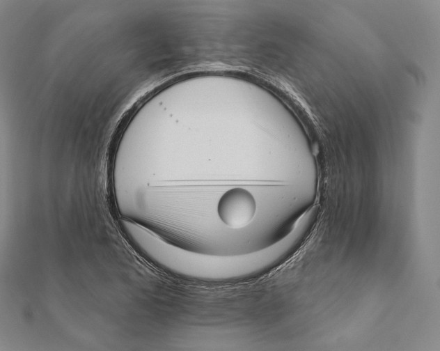 X0000111161173200907281147