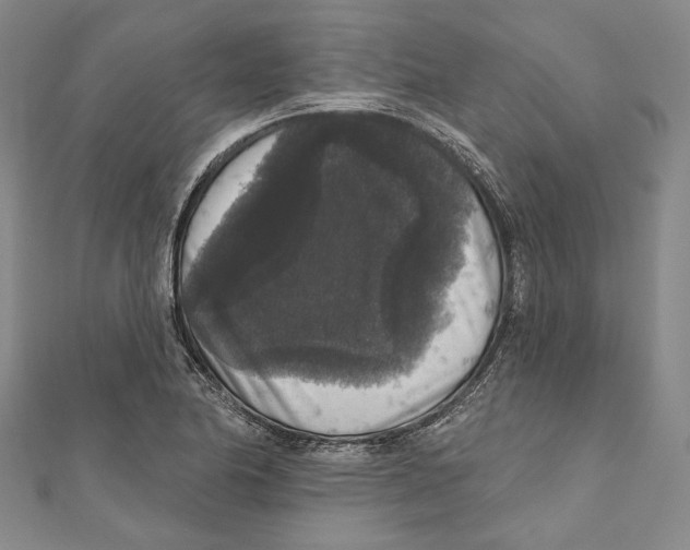 X0000111161174200907281147