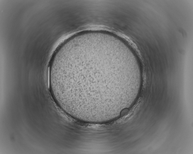 X0000111161175200907281147