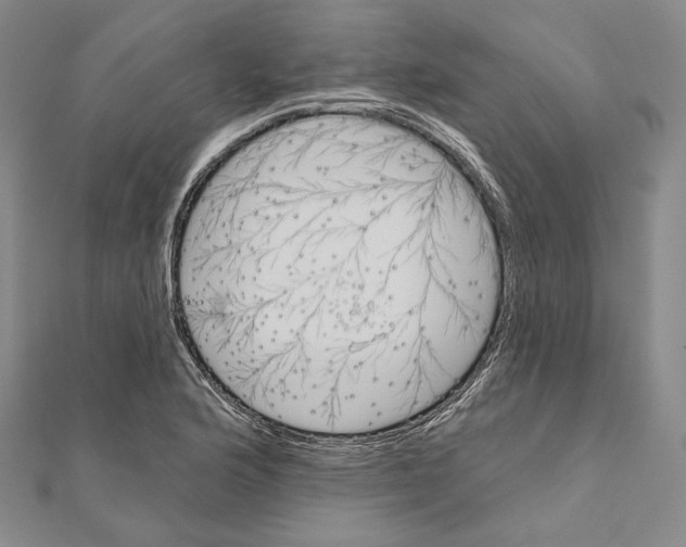 X0000111161176200907281147