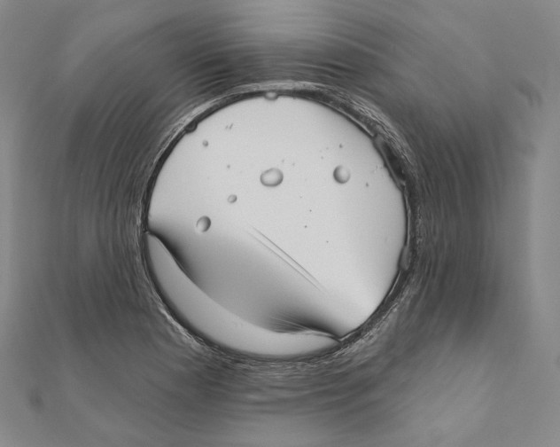 X0000111161177200907281147