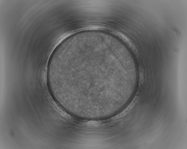 X0000111161178200907281147