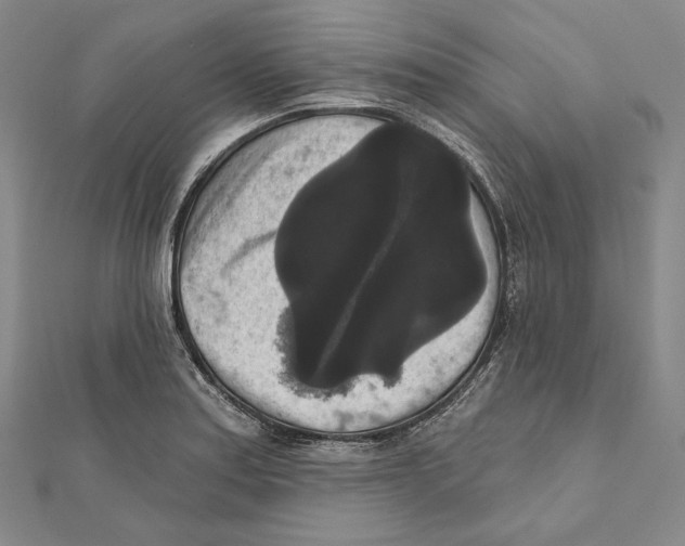 X0000111161179200907281147