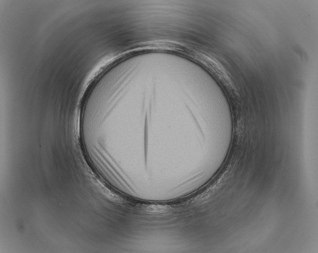 X0000111161180200907281147