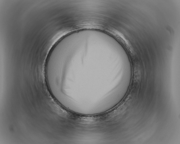 X0000111161182200907281147