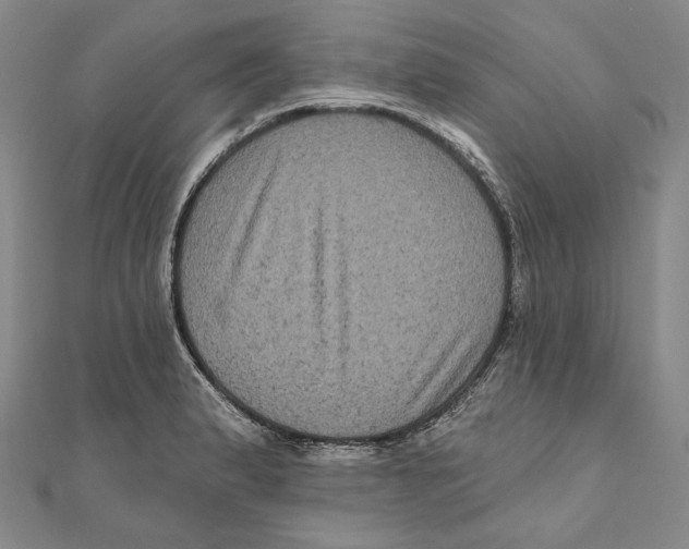 X0000111161183200907281147