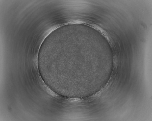 X0000111161186200907281146