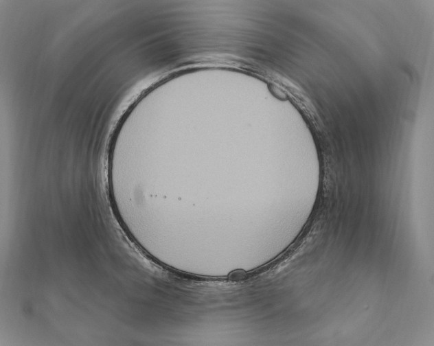 X0000111161188200907281146