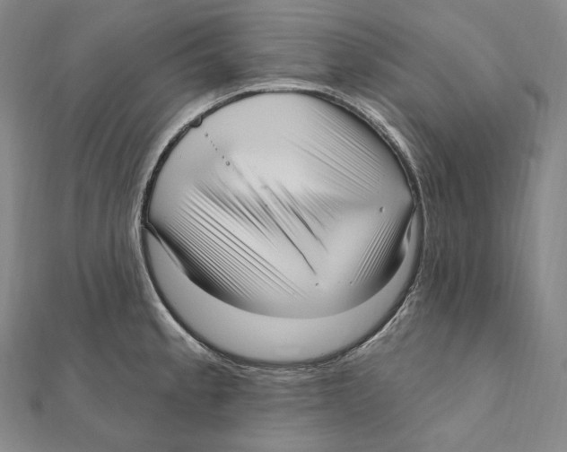 X0000111161189200907281146