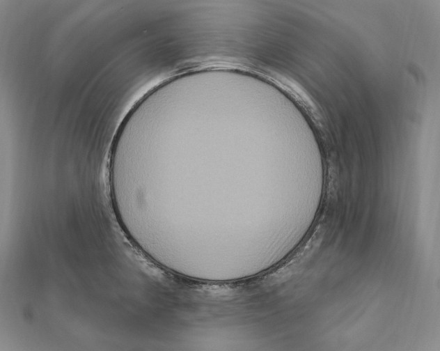 X0000111161190200907281146