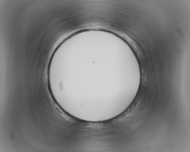 X0000111161191200907281146