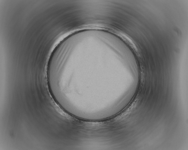 X0000111161192200907281146