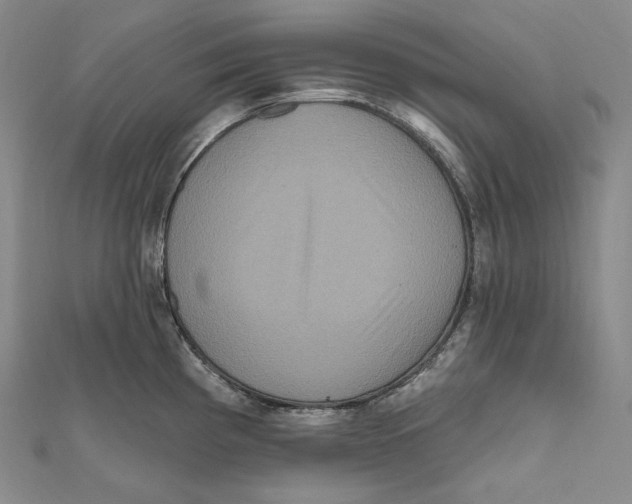 X0000111161193200907281146