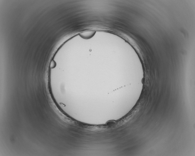 X0000111161195200907281146