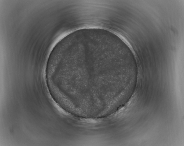 X0000111161197200907281146