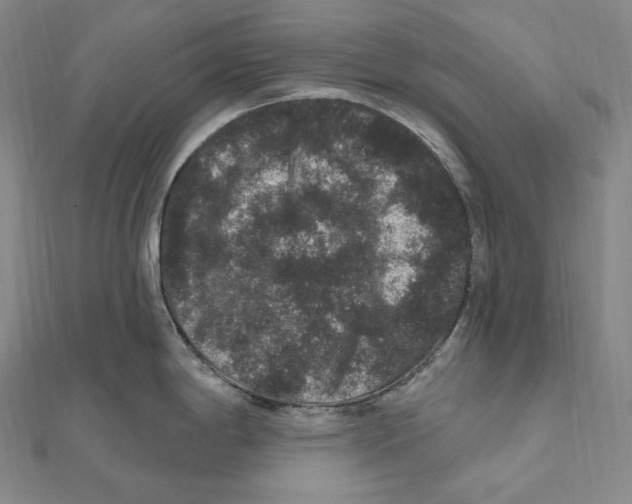 X0000111161198200907281146