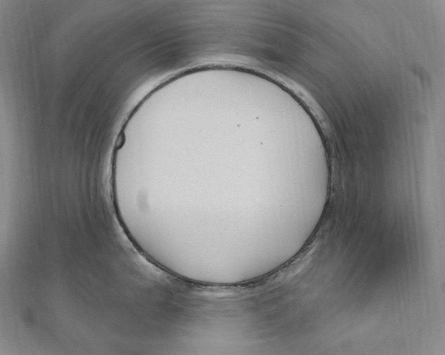 X0000111161199200907281146