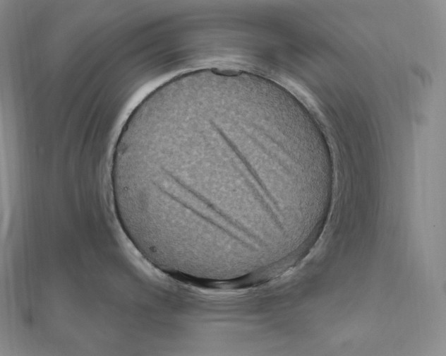 X0000111161200200907281146