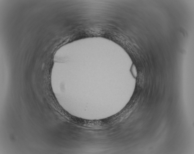 X0000111161201200907281146