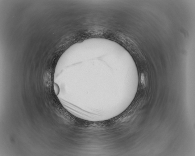 X0000111161203200907281146