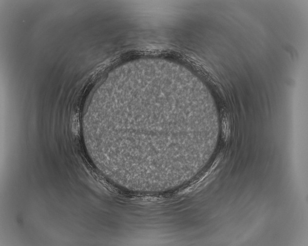 X0000111161204200907281146