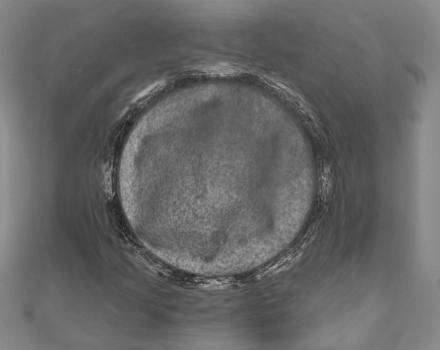 X0000111161205200907281146