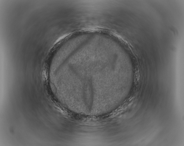 X0000111161206200907281146