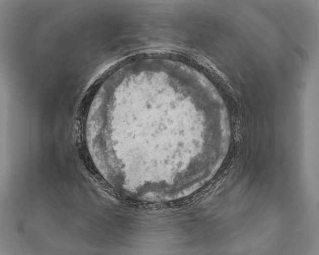 X0000111161208200907281146