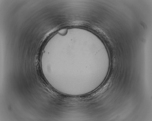 X0000111161210200907281146