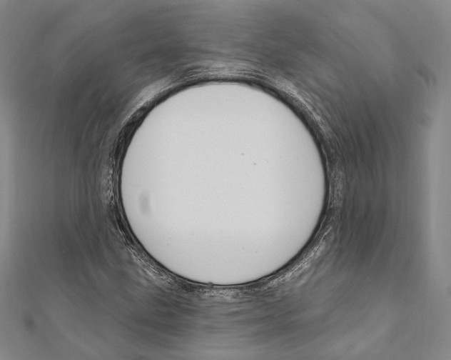 X0000111161211200907281146