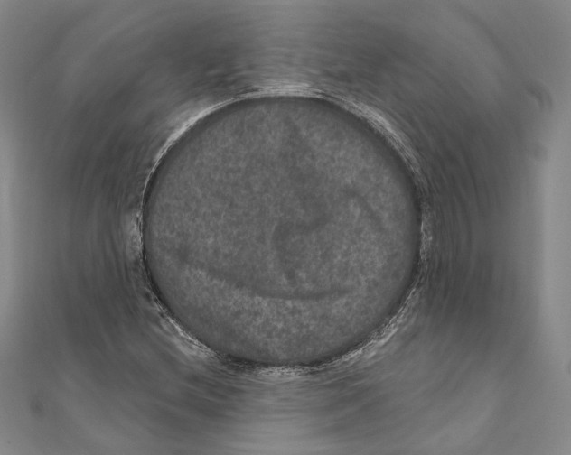 X0000111161212200907281146