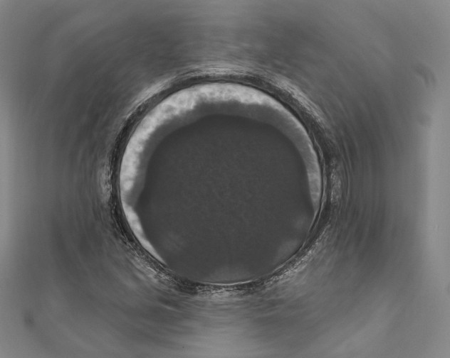 X0000111161213200907281146