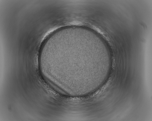 X0000111161214200907281146