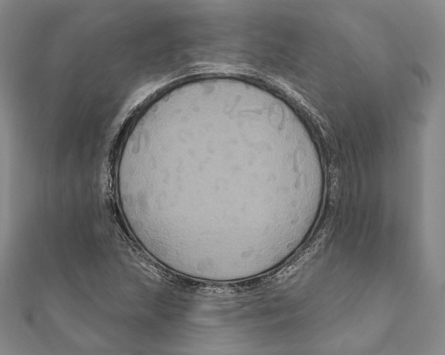 X0000111161215200907281146