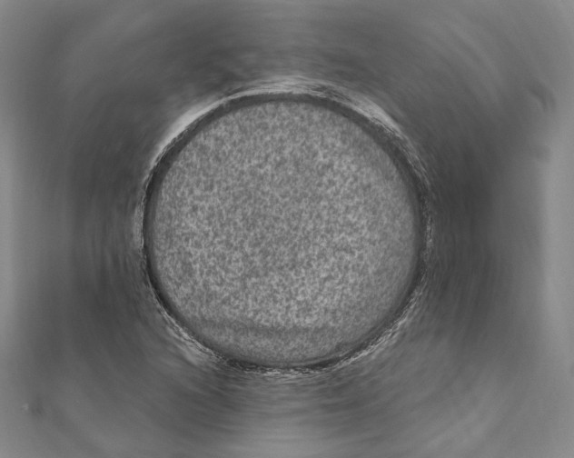 X0000111161216200907281146