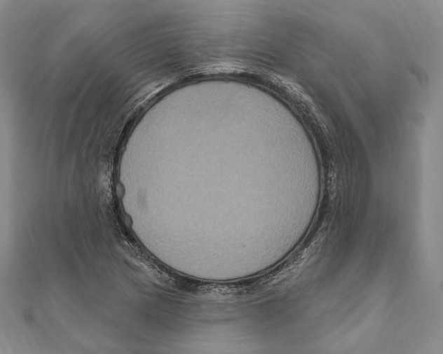 X0000111161217200907281146