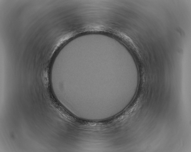 X0000111161218200907281146